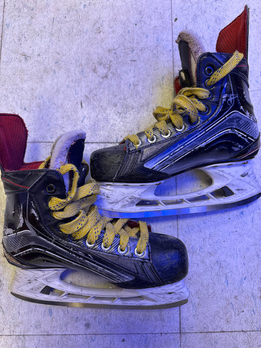Used Bauer Vapor X800 5.0D Player Skates