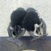 Used Easton Synergy EQ1 Size 9 Youth Skates