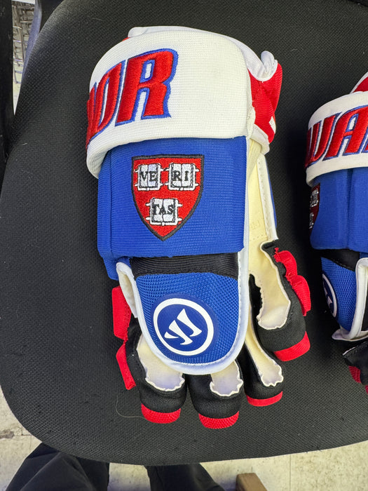 Warrior Covert Pro Glove 14"