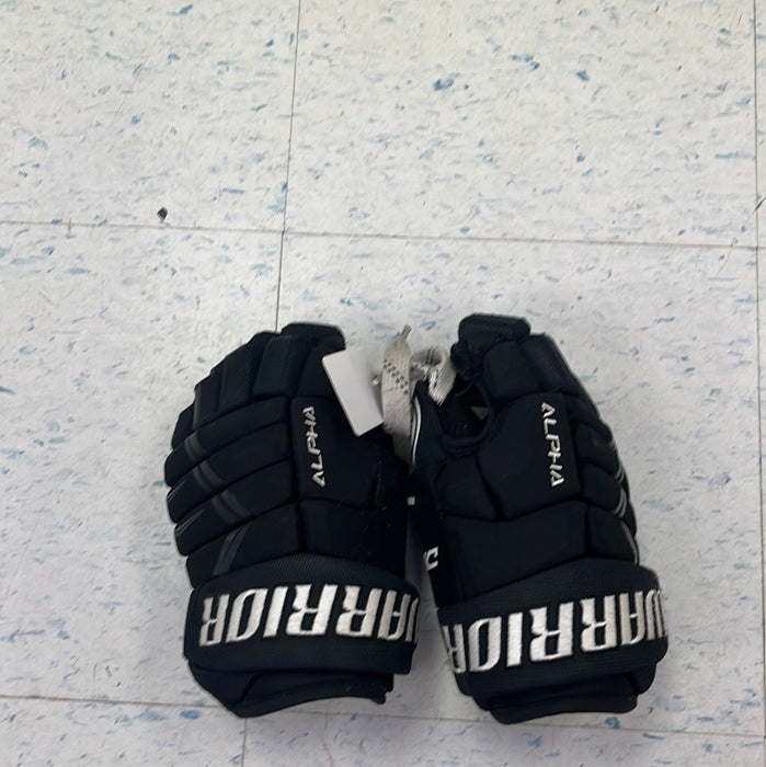 Used Warrior Alpha DX3 10” Player Gloves