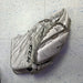 Used CCM Eflex 4.5 Youth Catcher