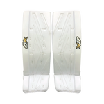 Brian's Net Zero 3 Intermediate Goal Pad