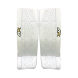 Brian's Net Zero 3 Intermediate Goal Pad