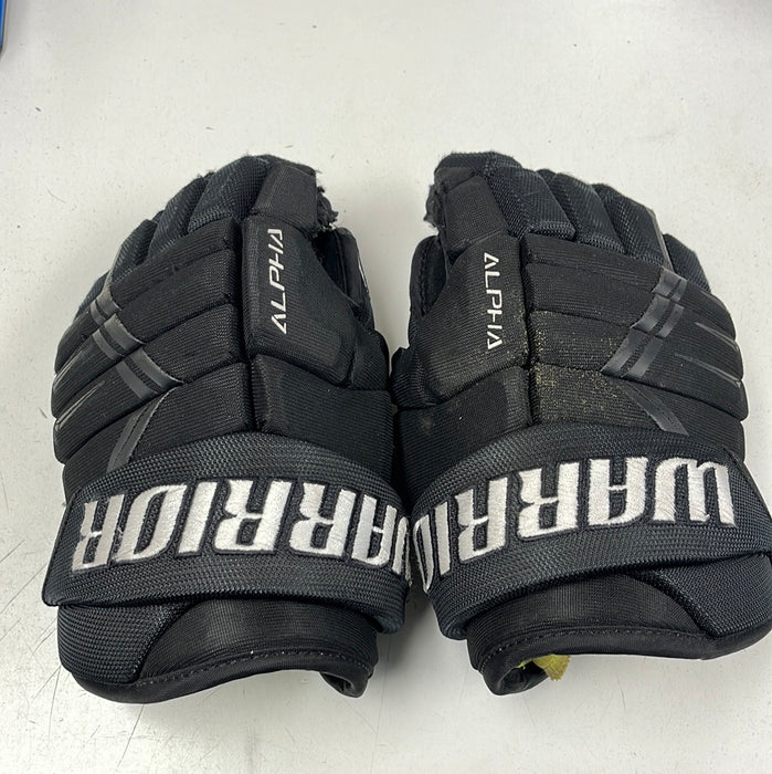 Used Warrior DX3 12” Glove