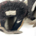 Used CCM 02 8D Youth Player Skates