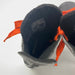 Used Reebok SC1 12D Youth Skates
