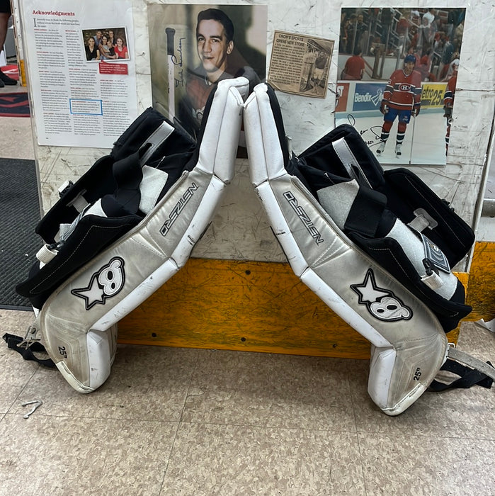 Used Brian’s NetZero 25” Goal Pad